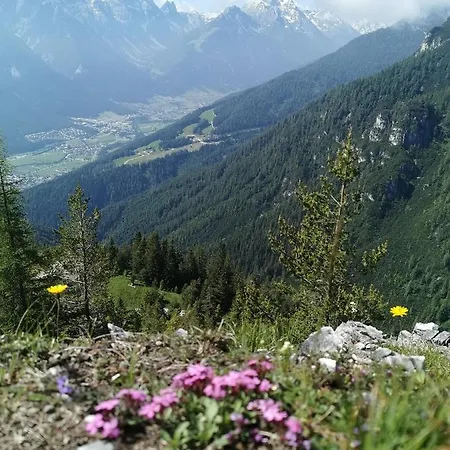 Bergwelt